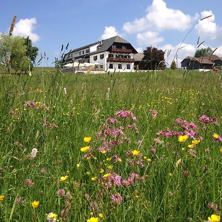 Forellenwirt Penzion