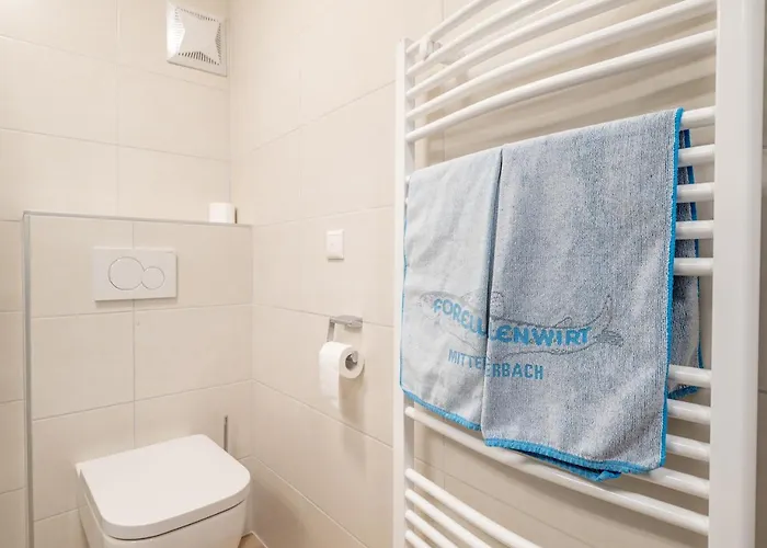 Forellenwirt Grünbach