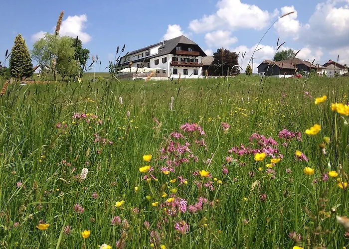 Forellenwirt Gasthof